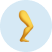 leg